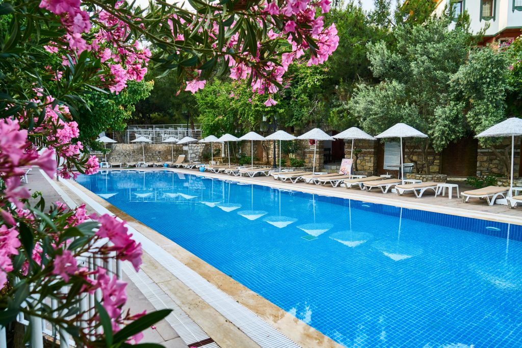 Peaceful poolside scene at a summer resort with blooming flowers and sun loungers.